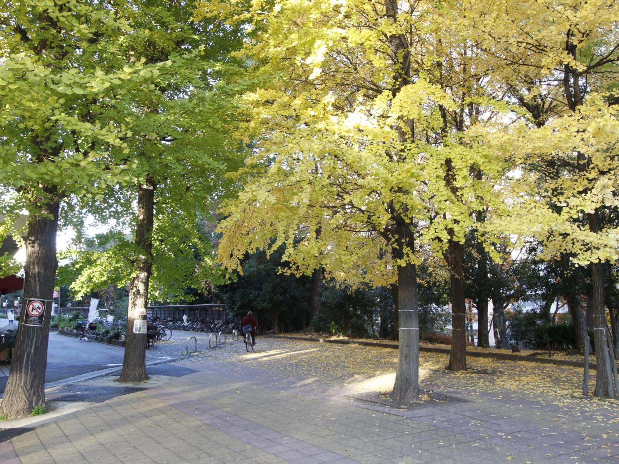 Appartement 和貴ビル à Tōkyō Extérieur photo